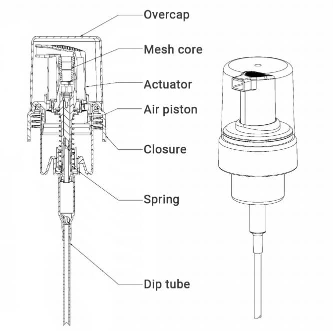 structure of foam pump